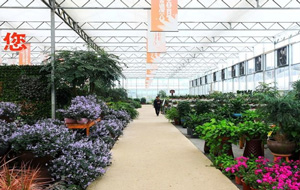 ���ϳ�ɳ���ܺ��´��﹤��