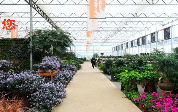 ���ϳ�ɳ���ܺ��´��﹤��